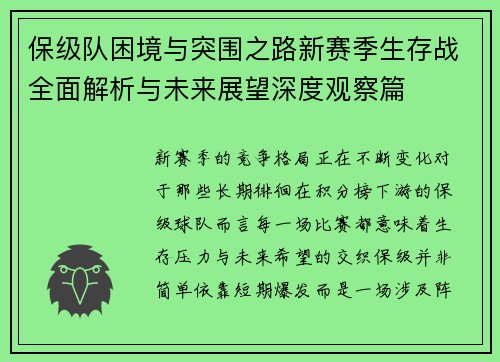保级队困境与突围之路新赛季生存战全面解析与未来展望深度观察篇